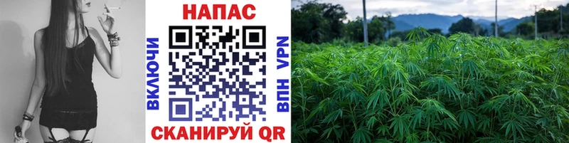 Марихуана OG Kush  kraken маркетплейс  Кемерово 